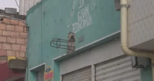 SUPERMERCADO LA GRAN ECONOMIA LA ESPERANZA SUR SUPERMERCADO LA GRAN ECONOMIA LA ESPERANZA SUR